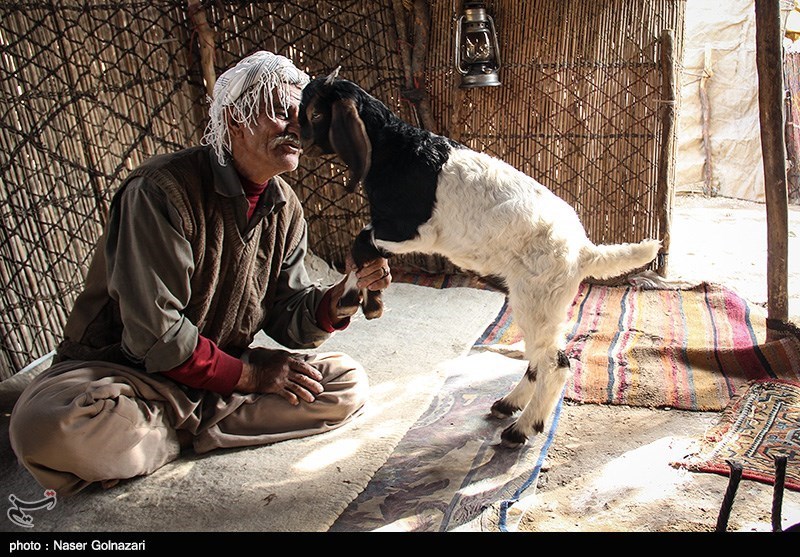 زندگی عشایری در ایلام
