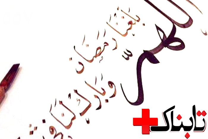 ویدیوی جنجالی از پیرمرد فال فروش هوادار روحانی: عمرا به روحانی رأی بدم! / ویدیوی هشدار مادران شهید خطاب به احمدی نژاد: خون به جگر آقا نکنید / ویدیوی پاسخ بانوان درباره وضعیت روز بعد از آزادی حجاب! / ویدیوهایی از انفجار عربستان