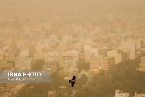 نفس همدان گرفت