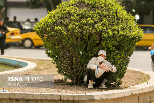 نفس همدان گرفت