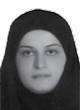 شاعر تاجدار صفوی