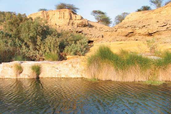 اینجا غدیر خم است