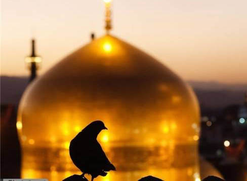 نماهنگ اُمنیتی، امام رضا (ع)