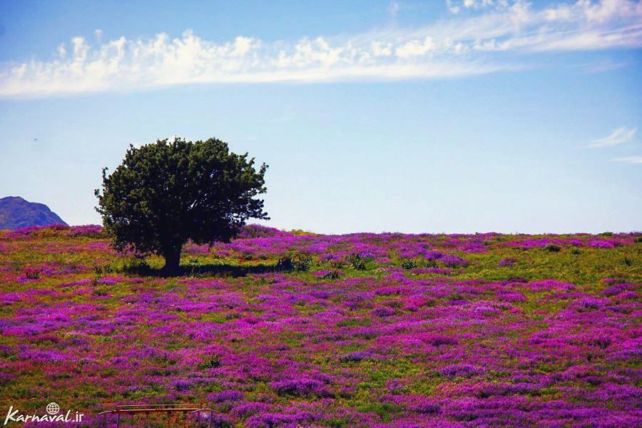تصاویری زیبا از ایران