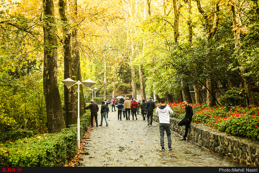 پاییز در پارک جمشیدیه