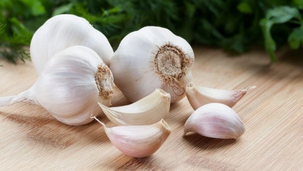خواص مصرف سیر ناشتا چیست؟