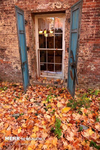 زیبایی های پاییز