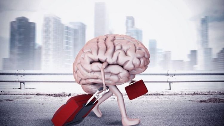 چرا نخبگان مهاجرت میکنند؟