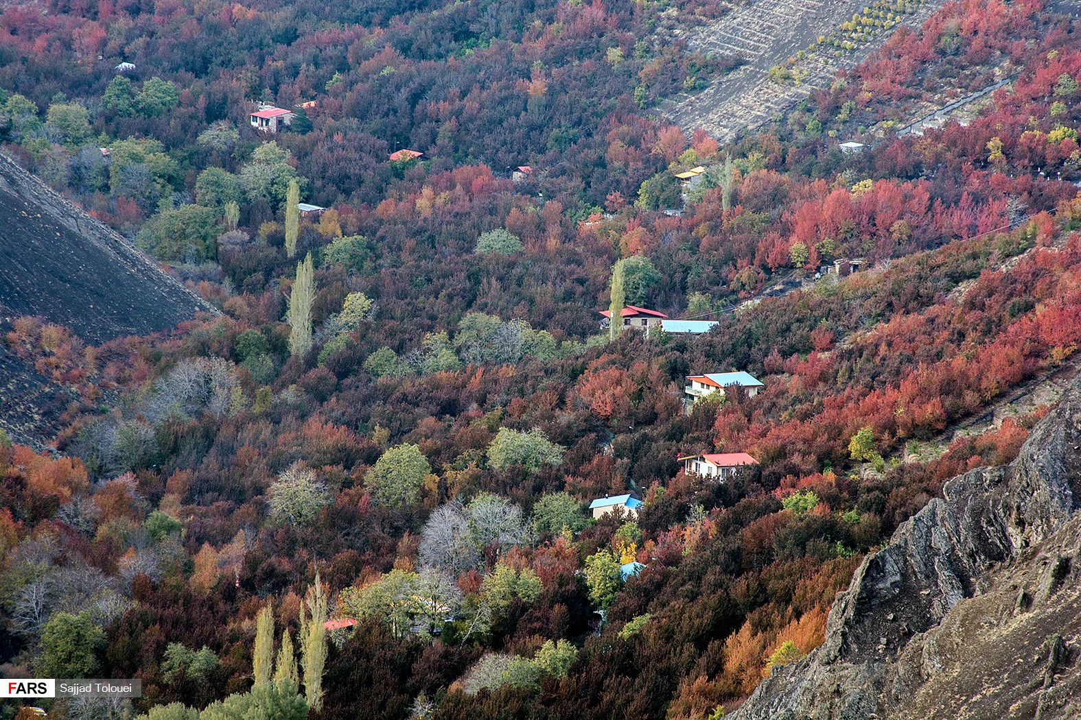 پائیز در «رندان» و « تالون»