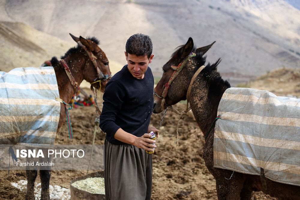«شاغلان» کوهستان