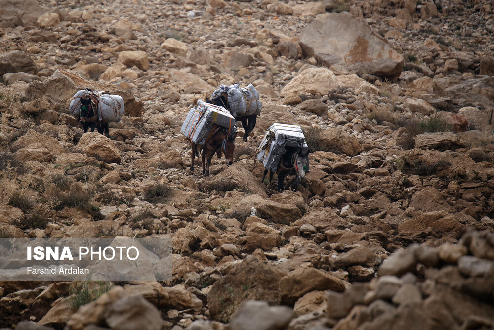 «شاغلان» کوهستان