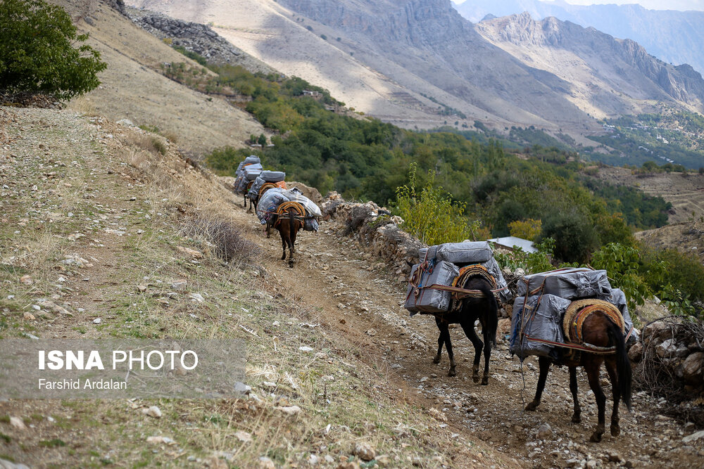 «شاغلان» کوهستان