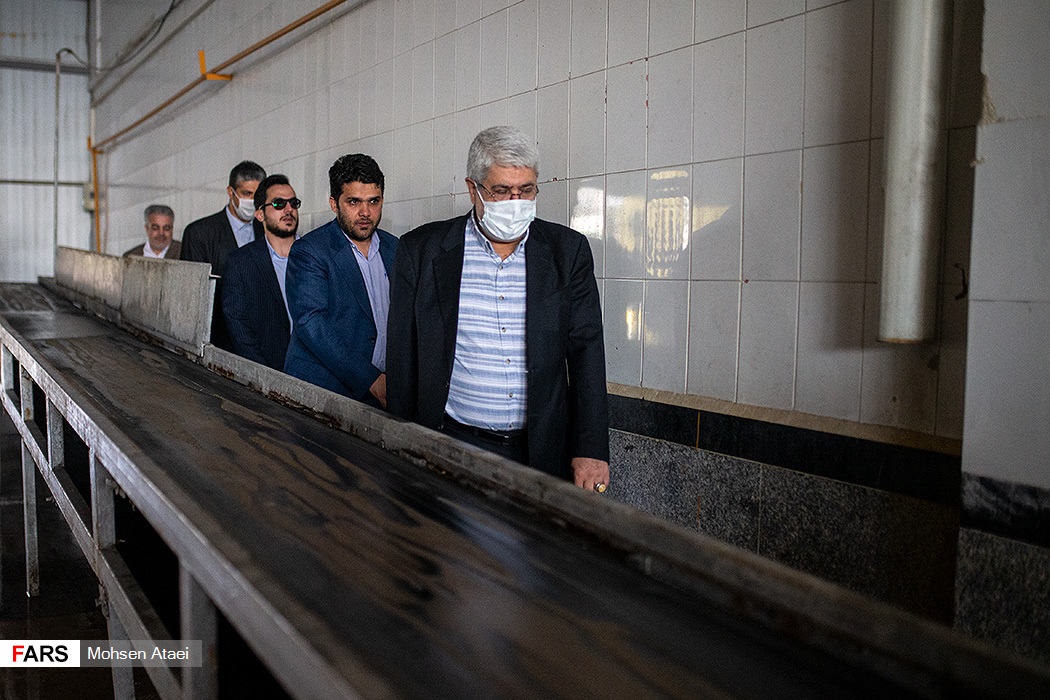 جای خالی مرغ