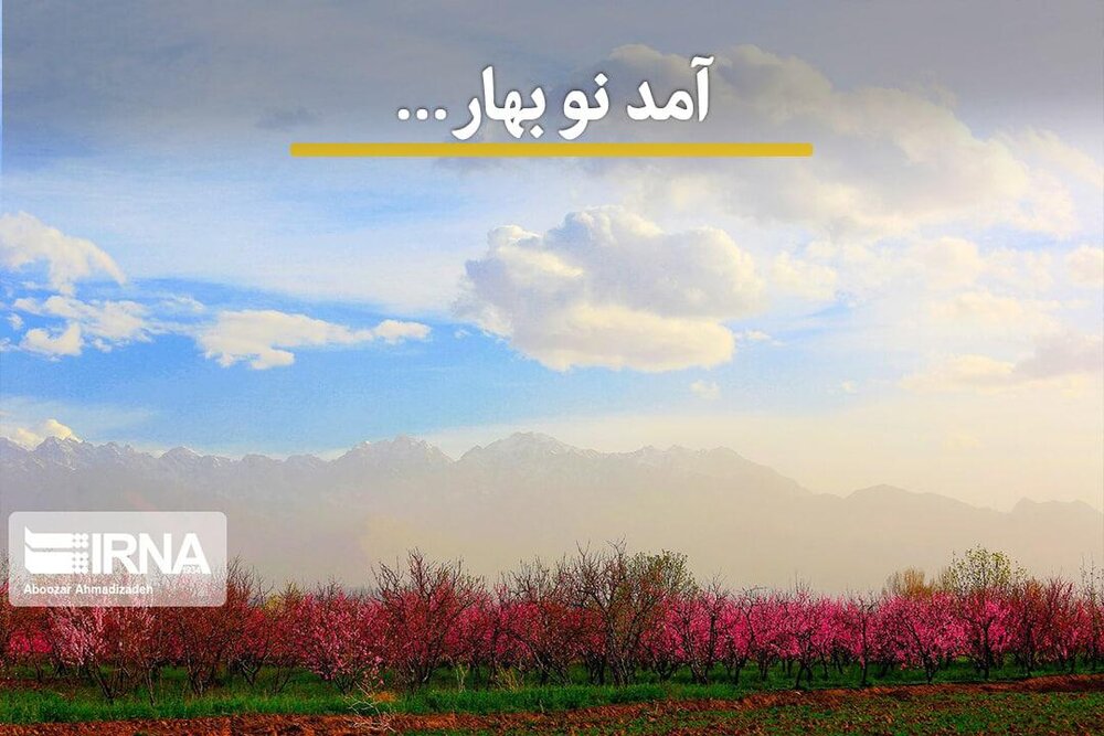شکوفهها و قابهایی تماشایی از نوبهار کرمان