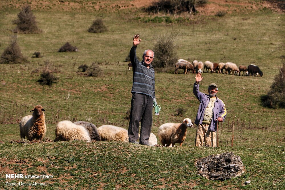 مردمان روستا