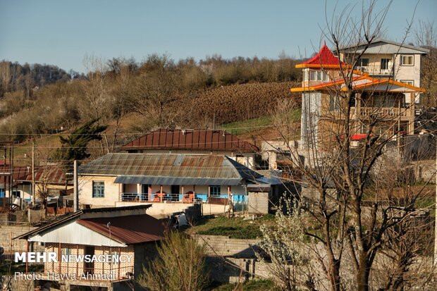 روستای «ولیلا»