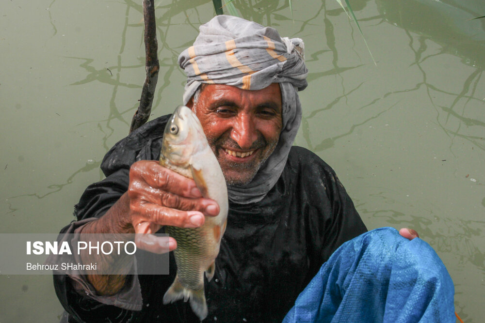 آبگیری تالاب «هامون»