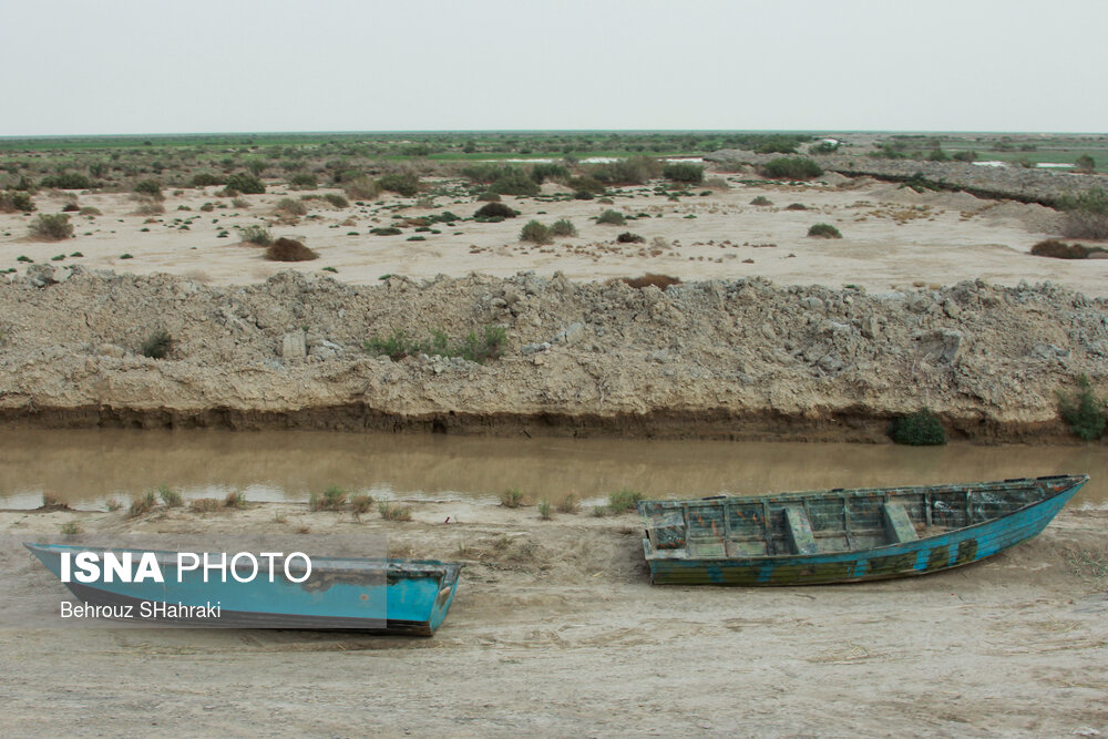 آبگیری تالاب «هامون»