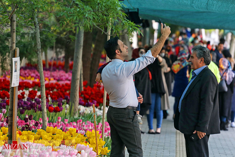پیادهرو لاله برای مادران