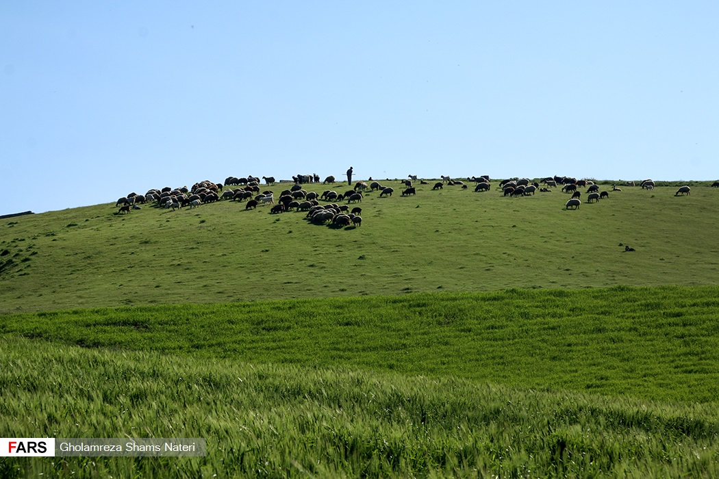اردیبهشتِ مازندران