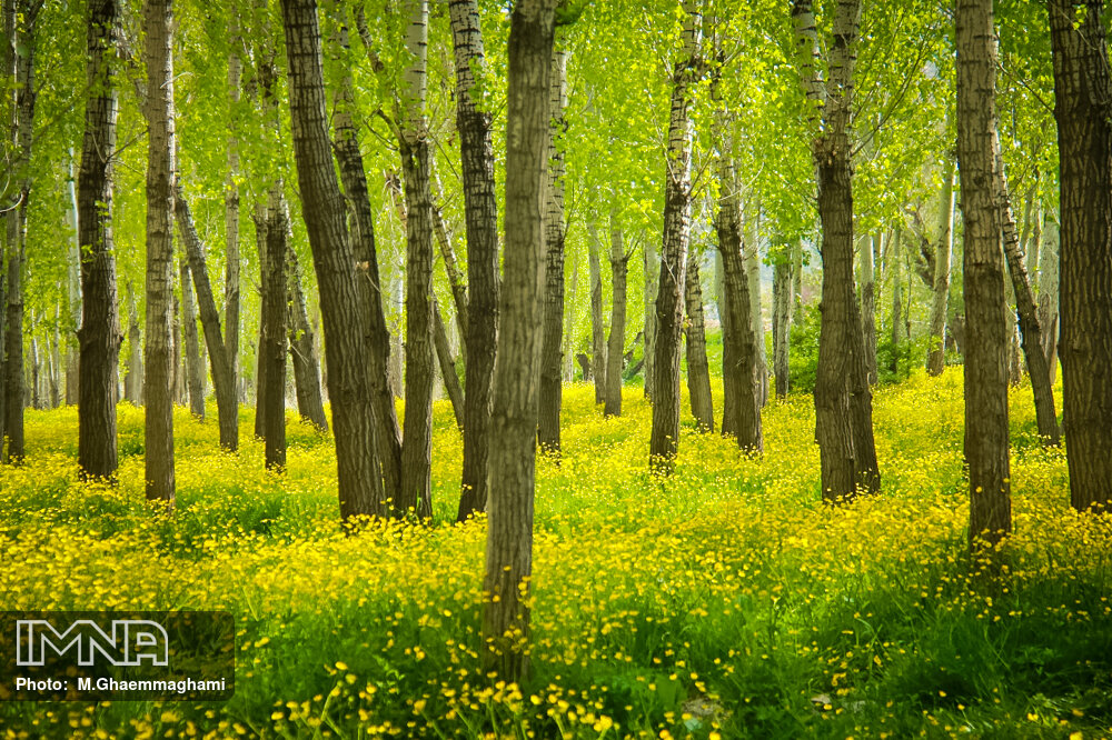 طبیعت بهاری سمیرم
