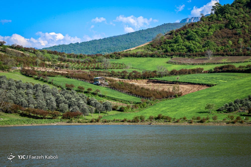 طبیعت نفس میکشد
