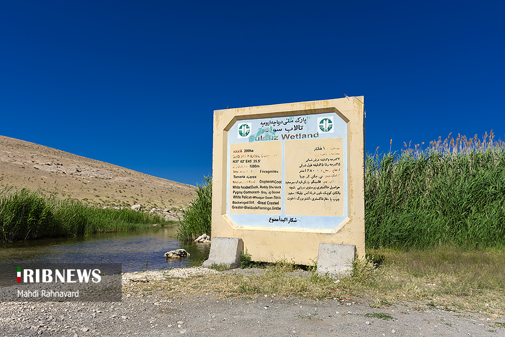 تالاب بین المللی سولدوز