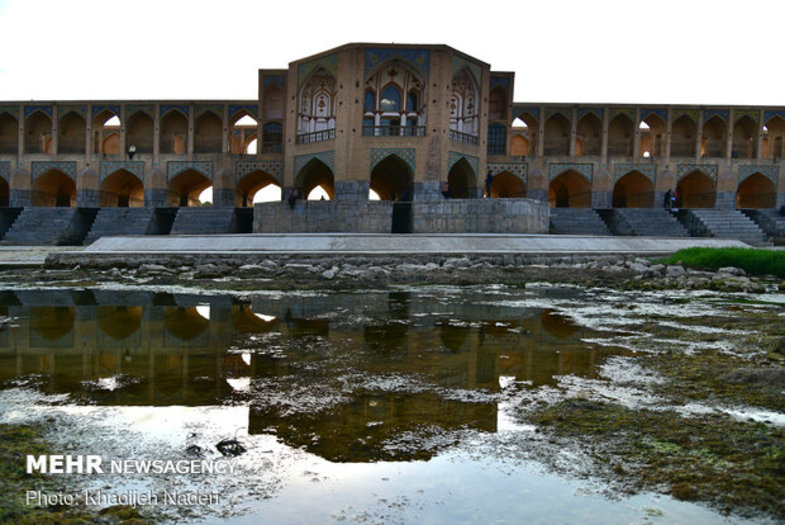 ماهیهای تلف شده کف رودخانه