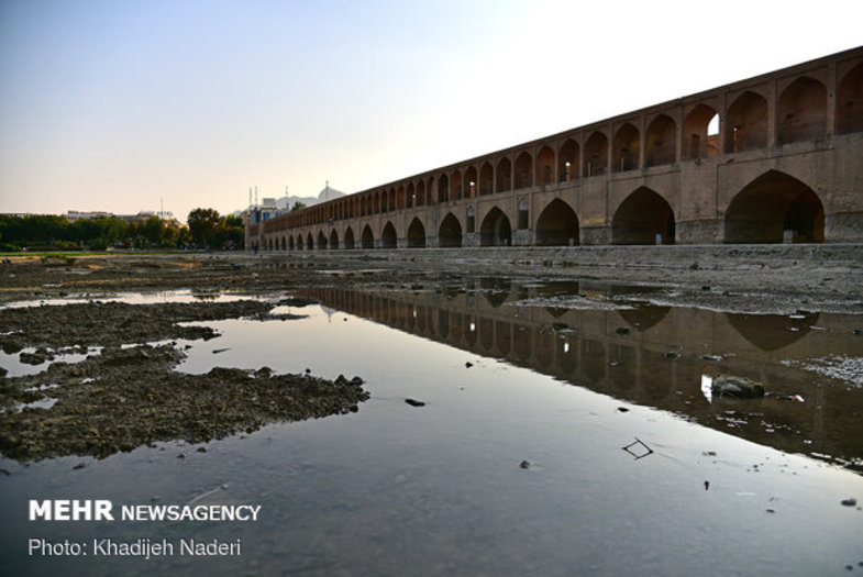ماهیهای تلف شده کف رودخانه