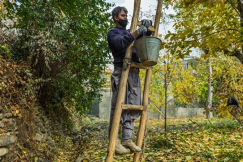 خُرمالوی کن