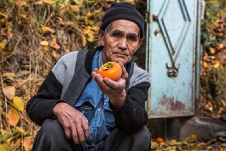 خُرمالوی کن