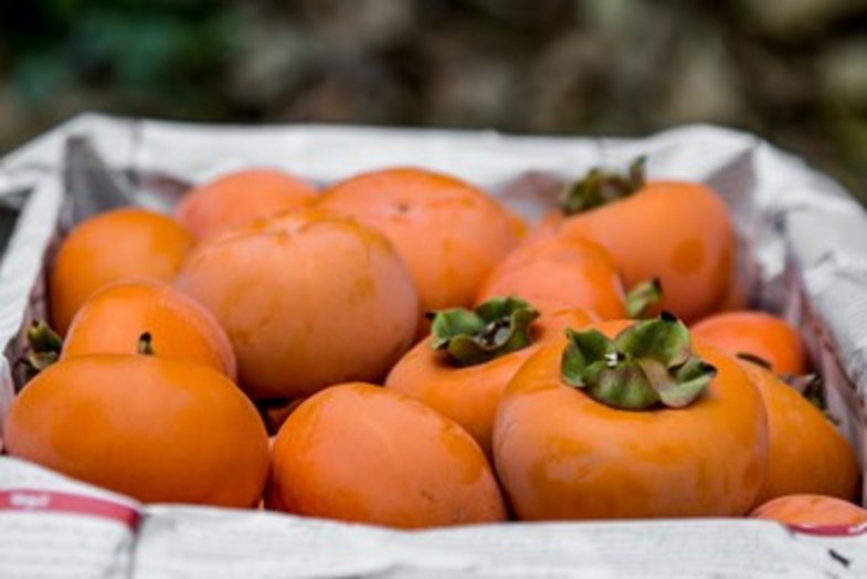 خُرمالوی کن
