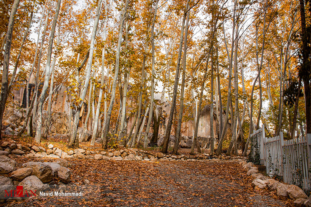 پاییز رنگارنگ ایران