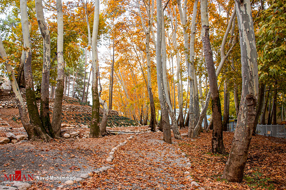 پاییز رنگارنگ ایران