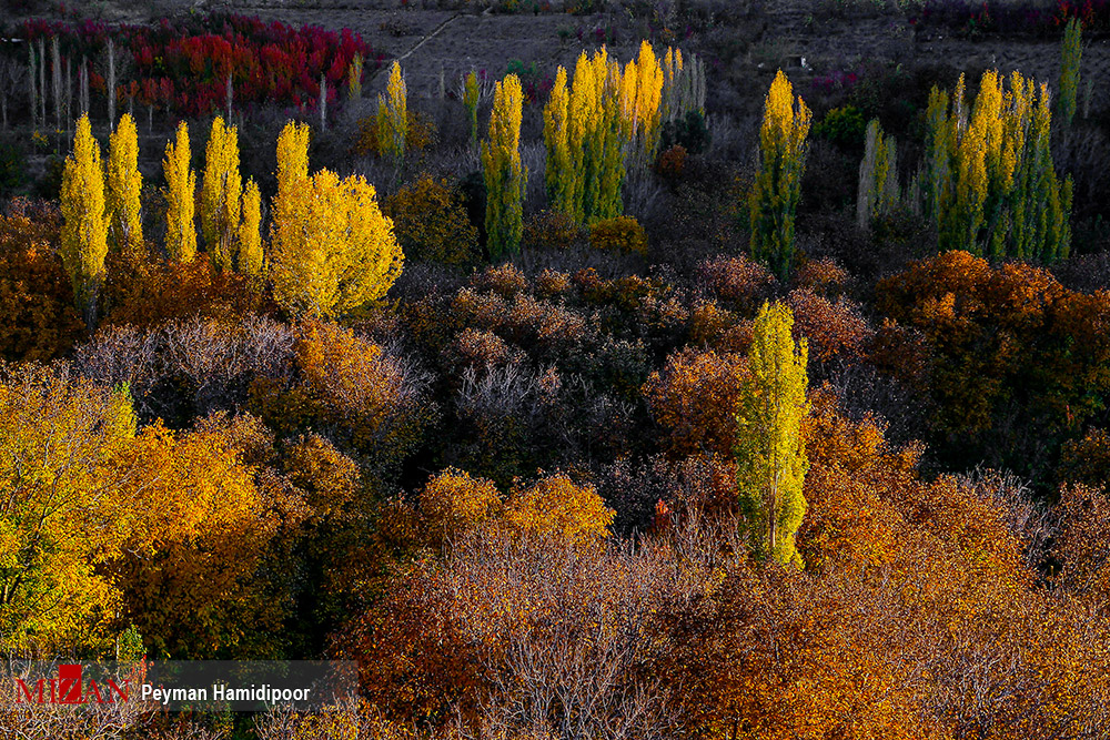 پاییز رنگارنگ ایران