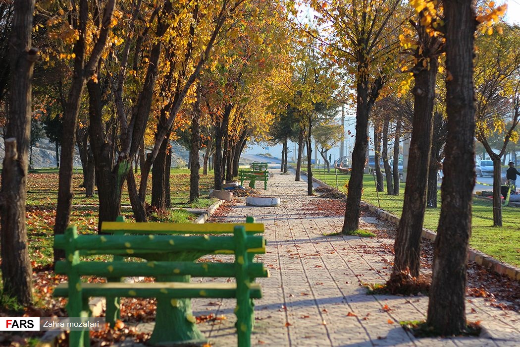 آخرین نفسهای پاییز