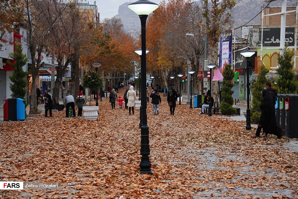 آخرین نفسهای پاییز