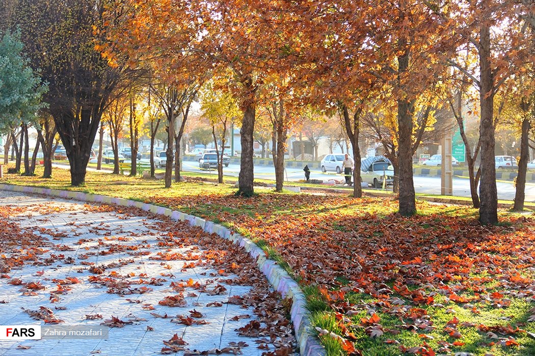 آخرین نفسهای پاییز