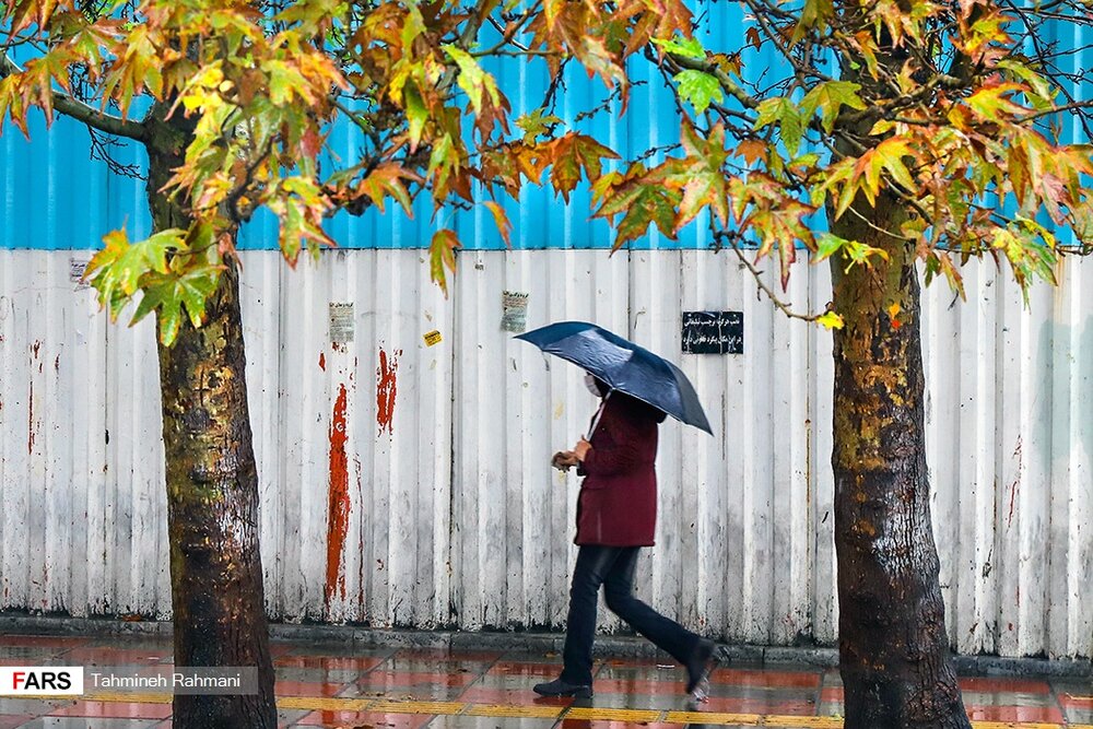 قابهایی تماشایی در روزهای بارانی پایتخت