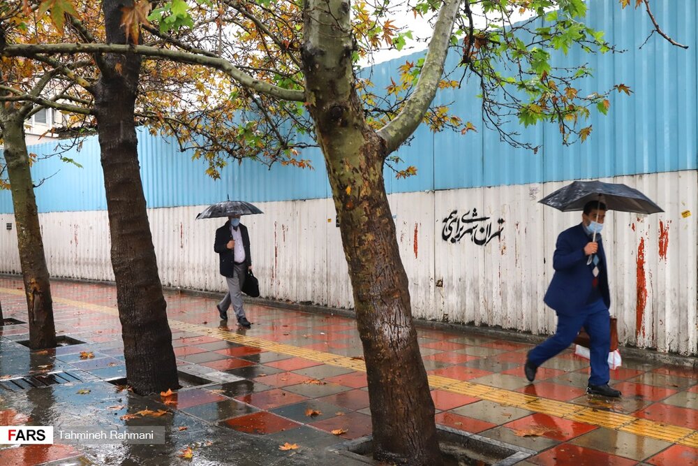 قابهایی تماشایی در روزهای بارانی پایتخت