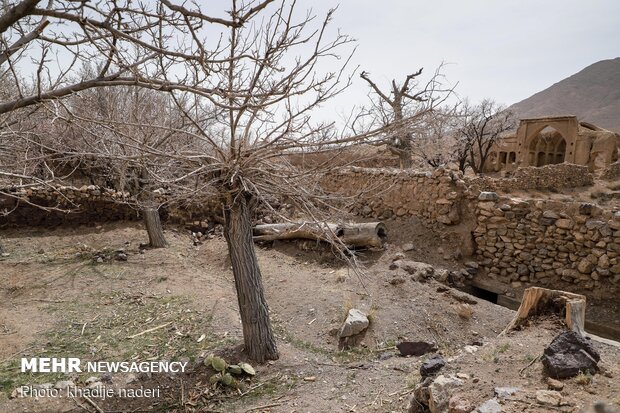 جنگ صنعت و طبیعت