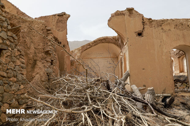 جنگ صنعت و طبیعت