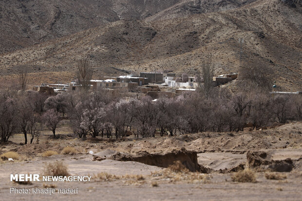 جنگ صنعت و طبیعت