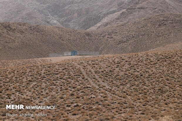 جنگ صنعت و طبیعت
