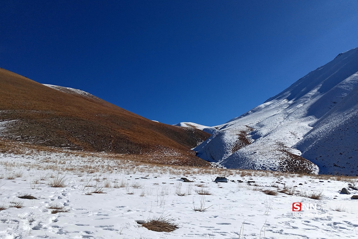 هوای زمستانی تهران