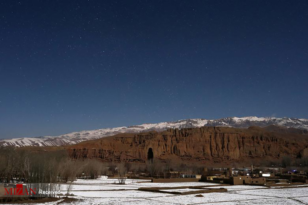 زیبایی در برف