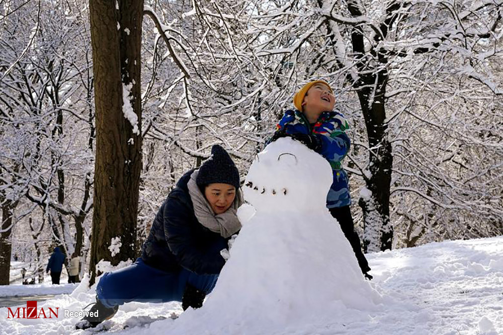 زیبایی در برف