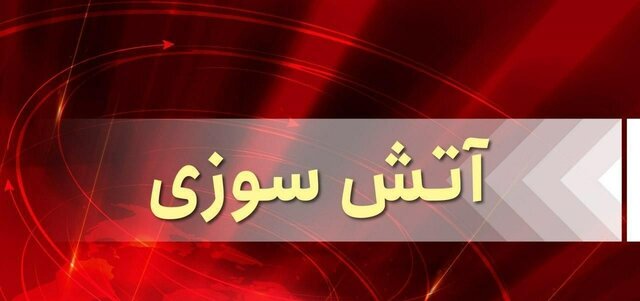 آتشسوزی یک ساختمان ۹ طبقه در کرج