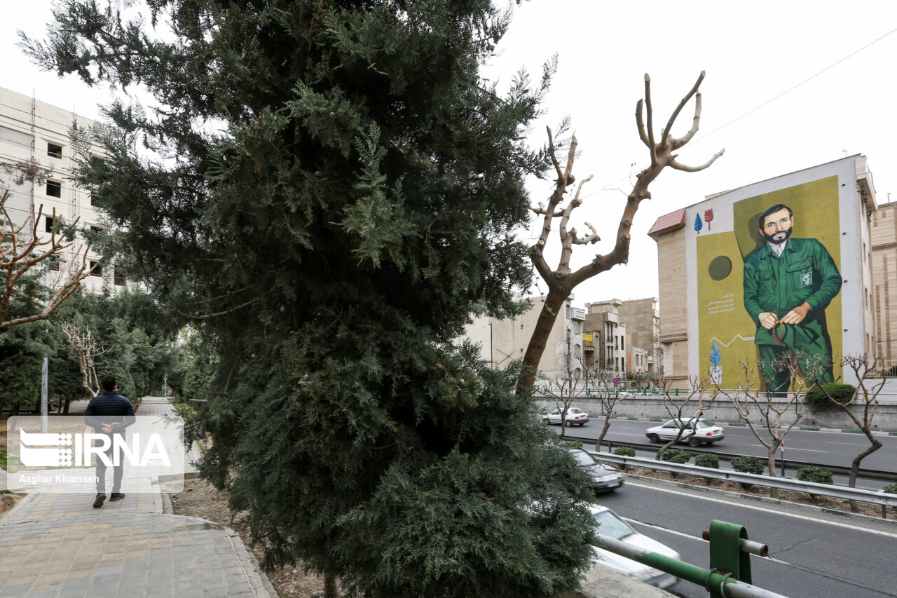 تصویر شهدا در شهر