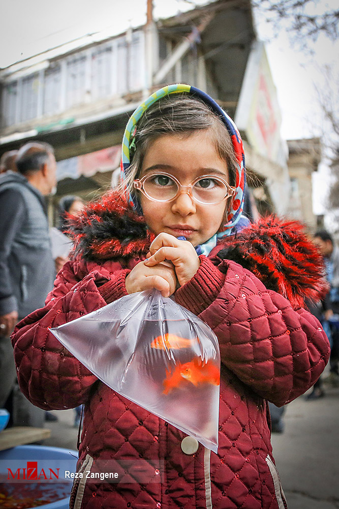 سرخی هفت سین